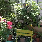 Large Flat In Montmartre With Terrace